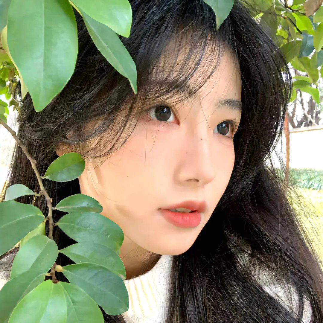 火星追击