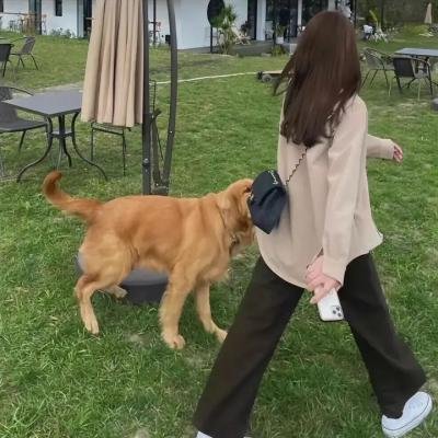 小麻雀